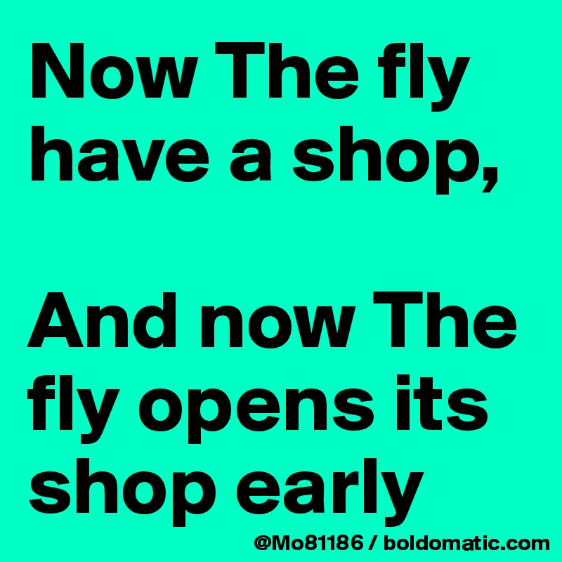 Now The fly have a shop, 

And now The fly opens its shop early