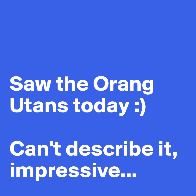 


Saw the Orang Utans today :)

Can't describe it, impressive...