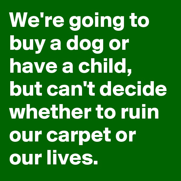 We're going to buy a dog or have a child, but can't decide whether to ruin our carpet or our lives.