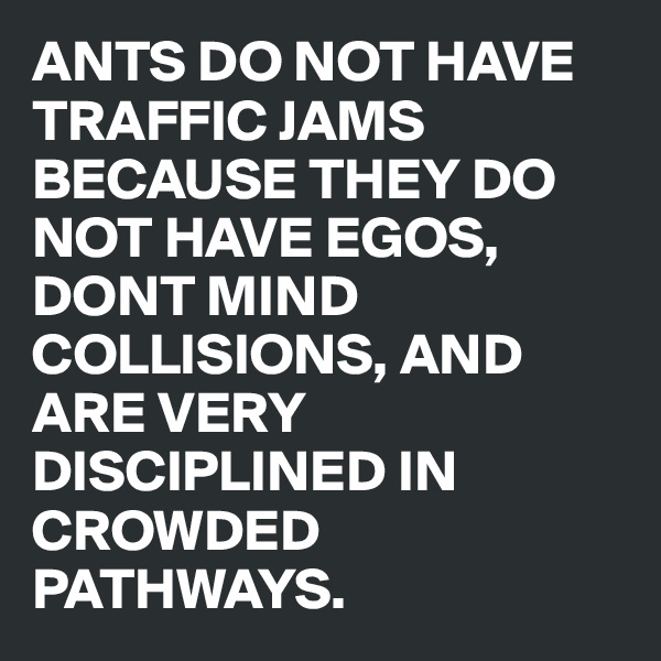 ANTS DO NOT HAVE TRAFFIC JAMS BECAUSE THEY DO NOT HAVE EGOS, DONT MIND COLLISIONS, AND ARE VERY DISCIPLINED IN CROWDED PATHWAYS. 