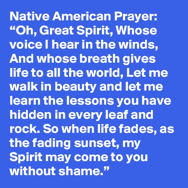Native American Prayer: “Oh, Great Spirit, Whose voice I hear in the winds, And whose breath gives life to all the world, Let me walk in beauty and let me learn the lessons you have hidden in every leaf and rock. So when life fades, as the fading sunset, my Spirit may come to you without shame.”  