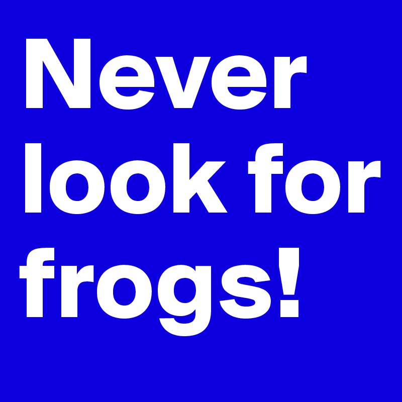 Never look for frogs! 
