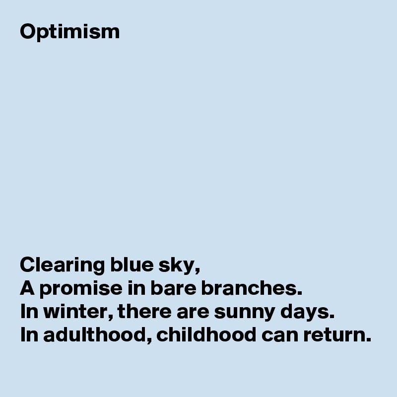 Optimism









Clearing blue sky,
A promise in bare branches.
In winter, there are sunny days.
In adulthood, childhood can return.