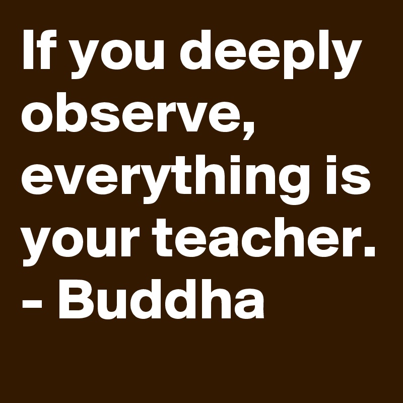 If you deeply observe, everything is your teacher. - Buddha