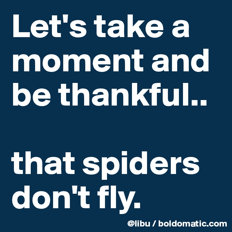 Let's take a moment and be thankful..

that spiders don't fly. 