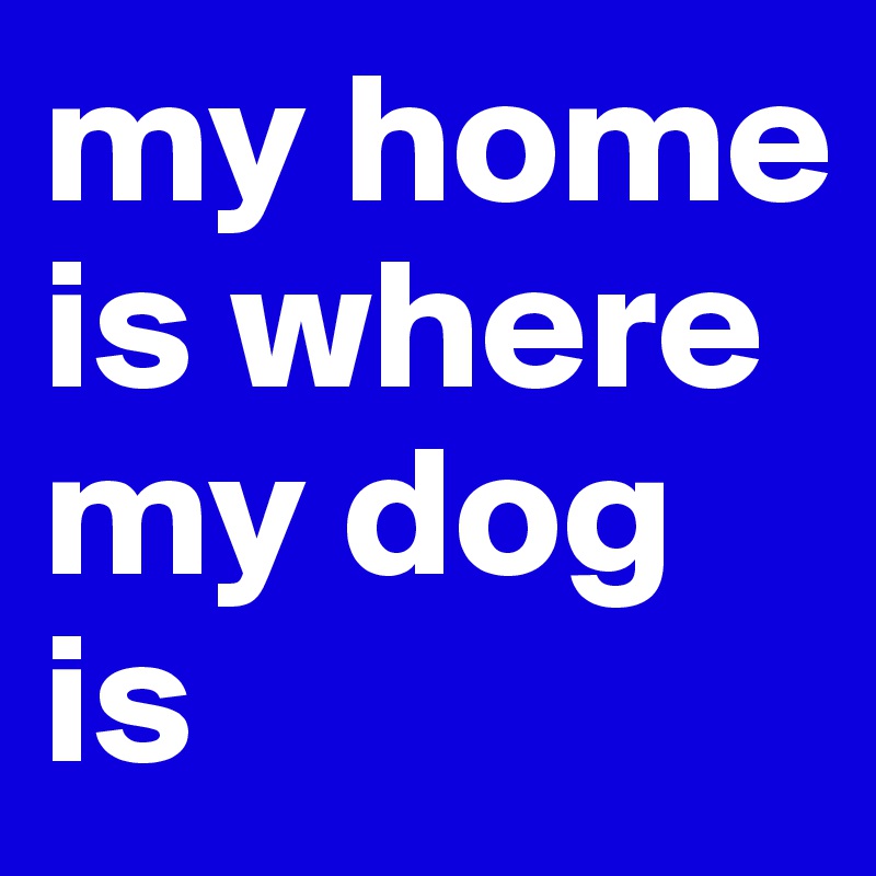 my home is where my dog is