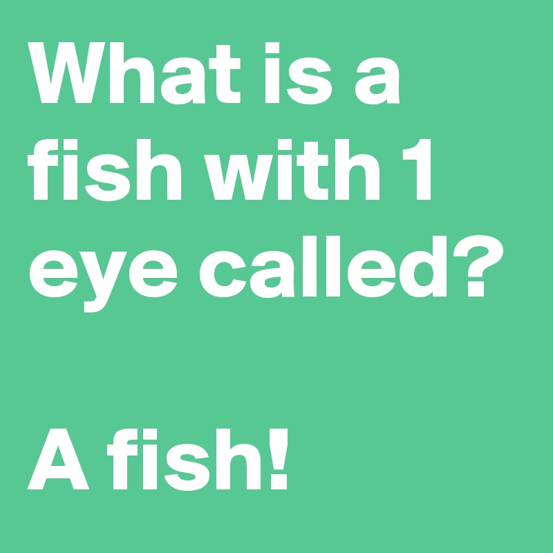 What is a fish with 1 eye called?

A fish!