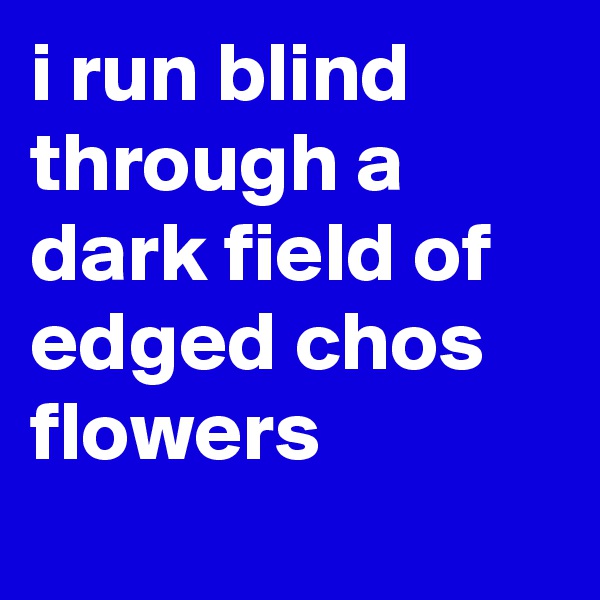 i run blind through a dark field of edged chos flowers
