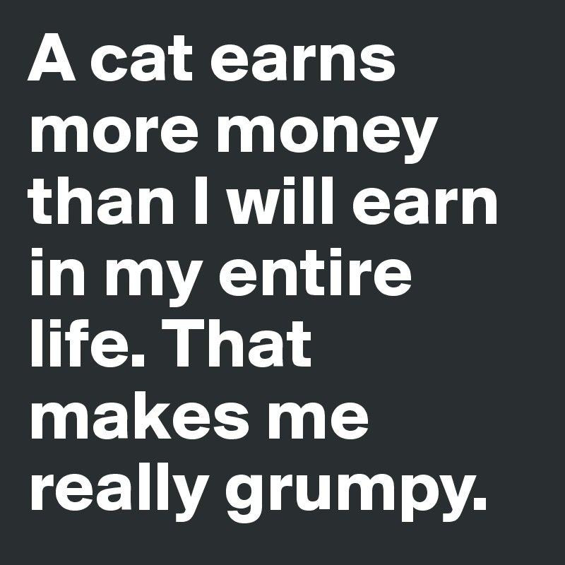 A cat earns more money than I will earn in my entire life. That makes me really grumpy. 