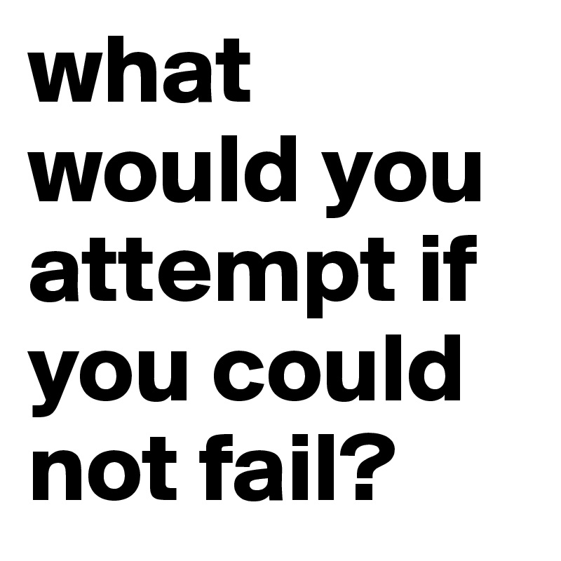 what would you attempt if you could not fail?