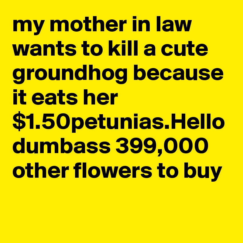 my mother in law wants to kill a cute groundhog because it eats her $1.50petunias.Hello dumbass 399,000 other flowers to buy