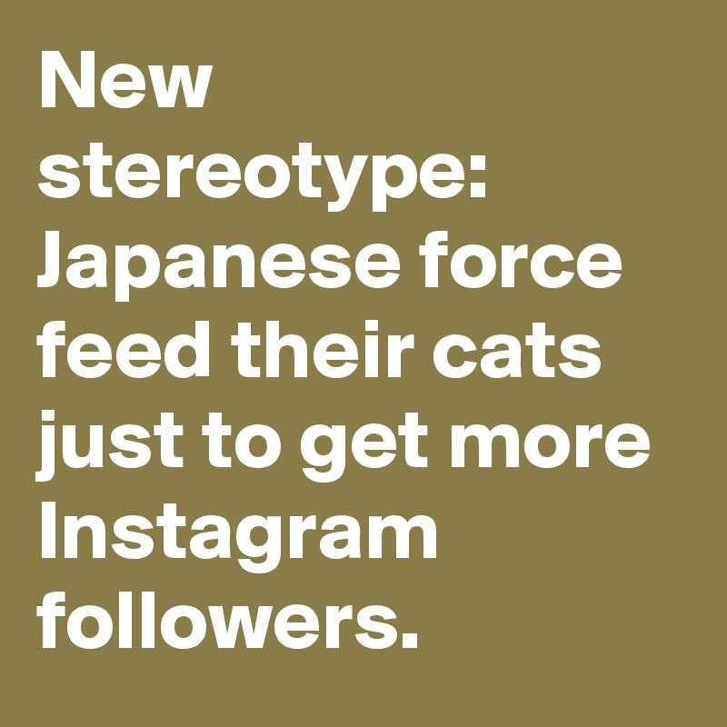 new stereotype japanese force feed their cats just to get more instagram followers - japanese instagram followers