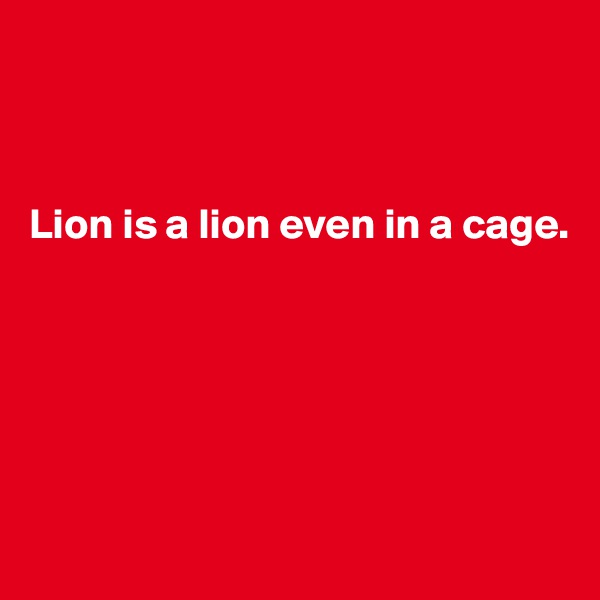 



Lion is a lion even in a cage. 






