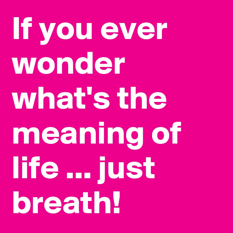 If you ever wonder what's the meaning of life ... just breath!
