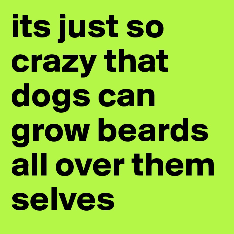 its just so crazy that dogs can grow beards all over them selves