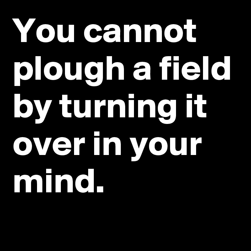 You cannot plough a field by turning it over in your mind.