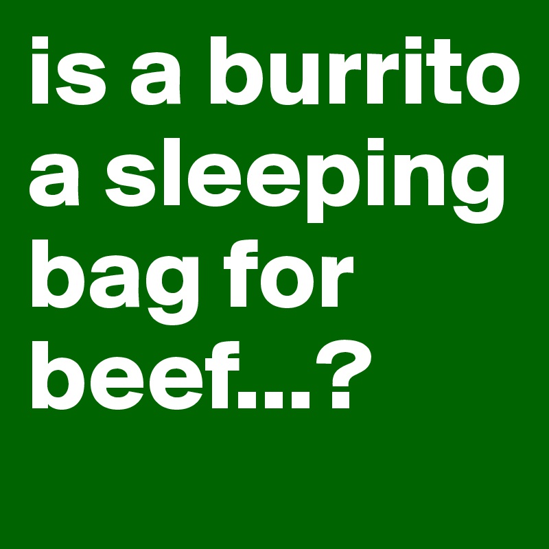 is a burrito a sleeping bag for beef...?