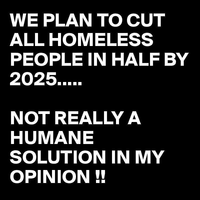 WE PLAN TO CUT ALL HOMELESS PEOPLE IN HALF BY 2025.....

NOT REALLY A HUMANE SOLUTION IN MY OPINION !!