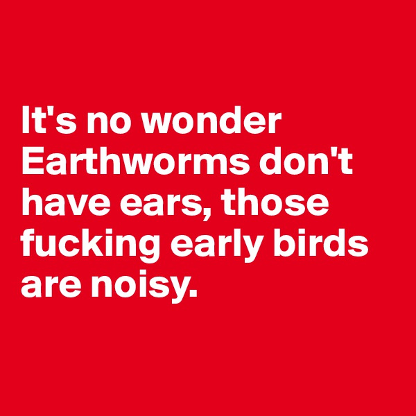 

It's no wonder Earthworms don't have ears, those fucking early birds are noisy. 

