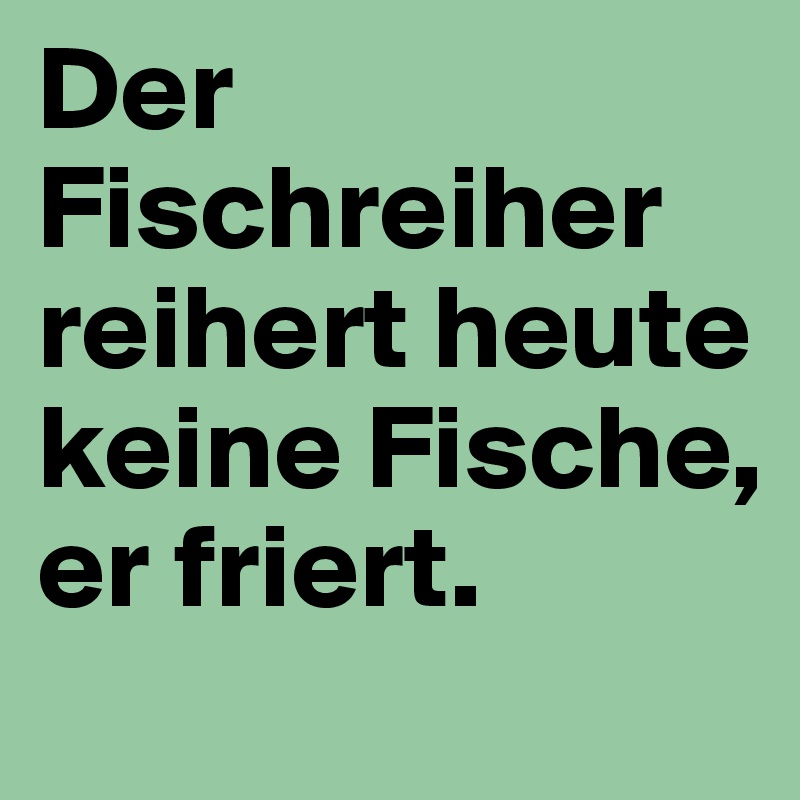 Der Fischreiher reihert heute keine Fische, er friert. 