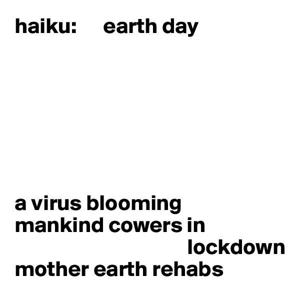 haiku:      earth day







a virus blooming 
mankind cowers in     
                                       lockdown 
mother earth rehabs