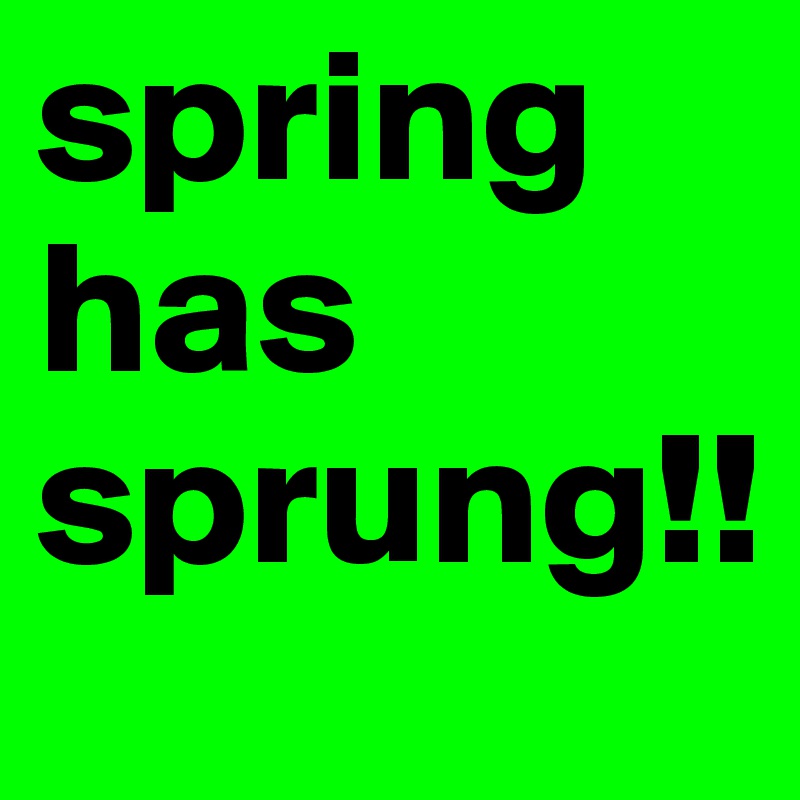 spring has sprung!!