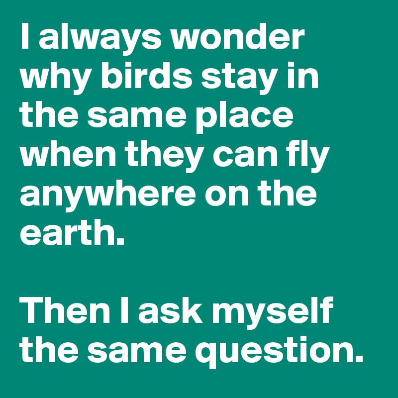 I always wonder why birds stay in the same place when they can fly anywhere on the earth. 

Then I ask myself the same question.