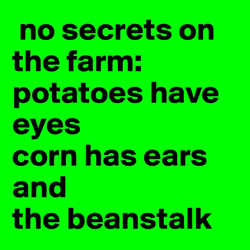  no secrets on the farm:
potatoes have eyes
corn has ears and
the beanstalk
