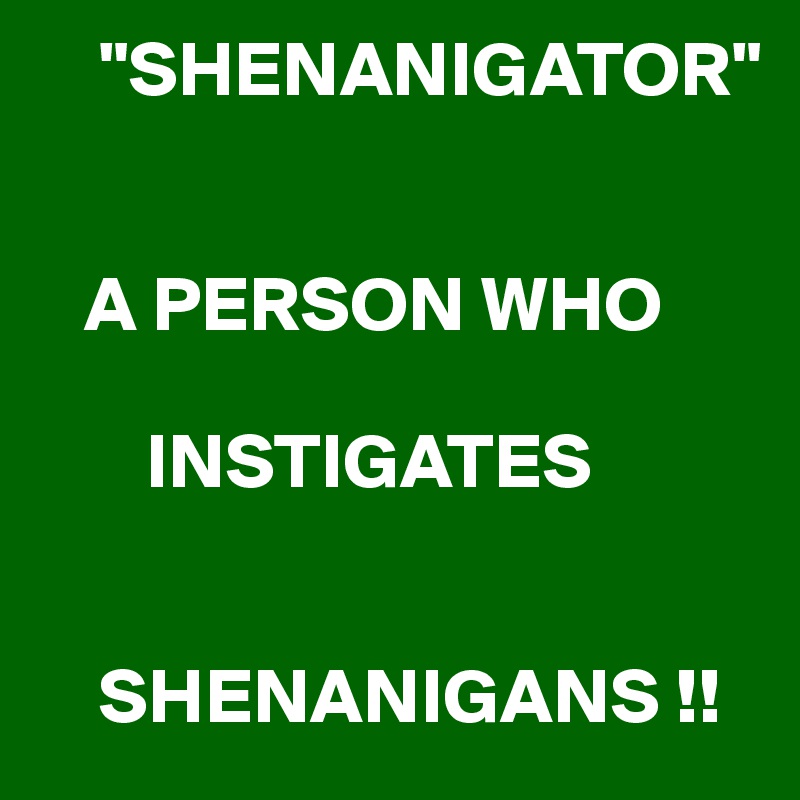     "SHENANIGATOR"


   A PERSON WHO

       INSTIGATES


    SHENANIGANS !!