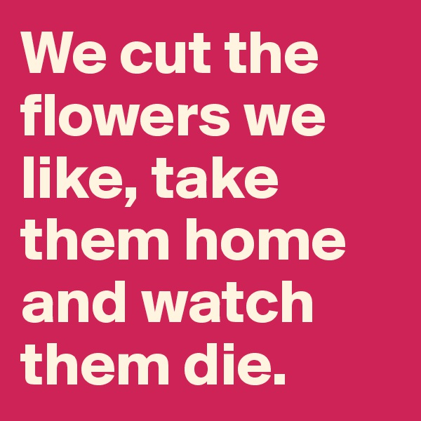 We cut the flowers we like, take them home and watch them die. 