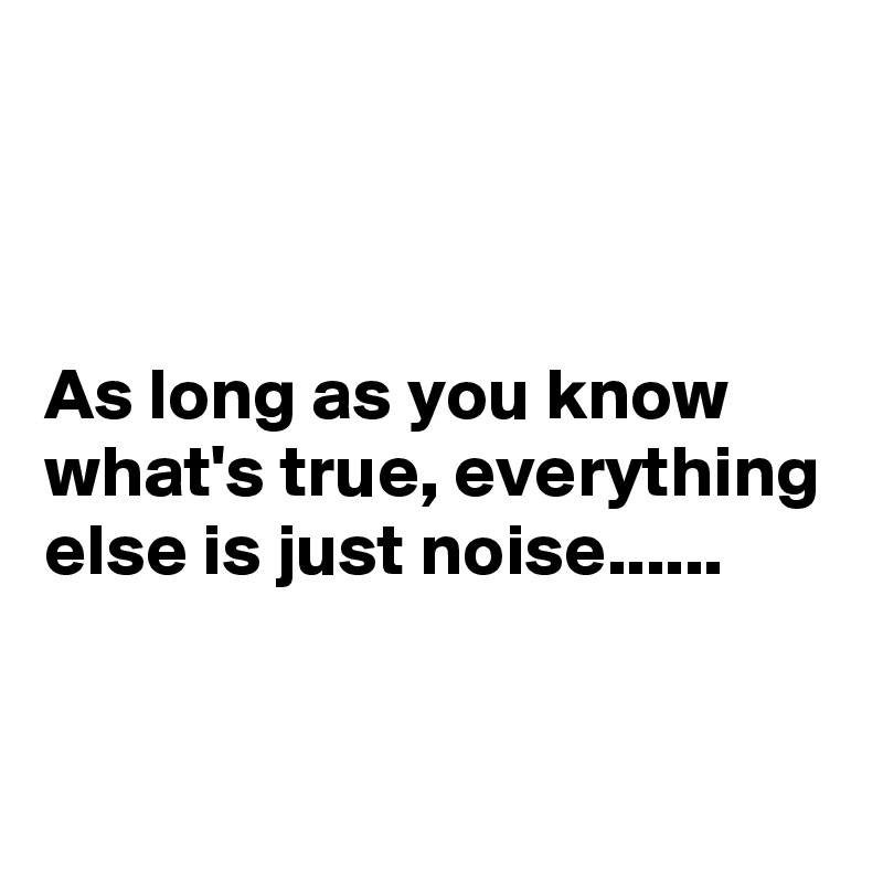 



As long as you know what's true, everything else is just noise......


