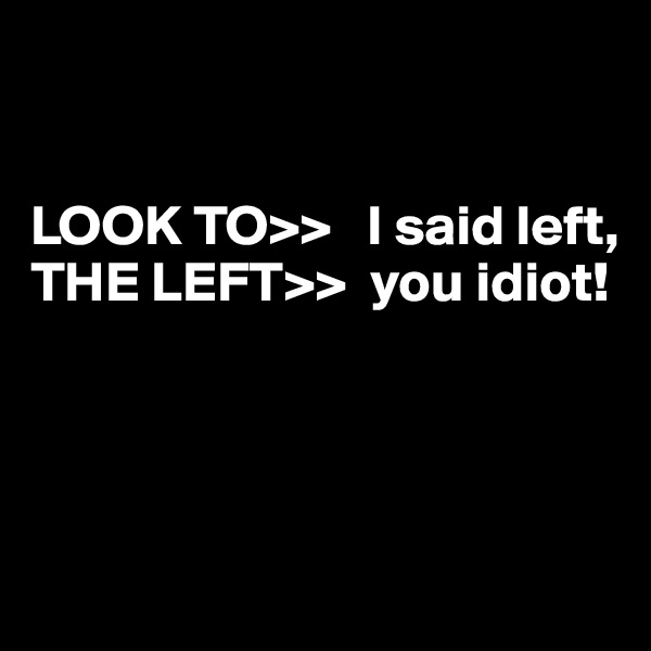 


LOOK TO>>   I said left,
THE LEFT>>  you idiot!




