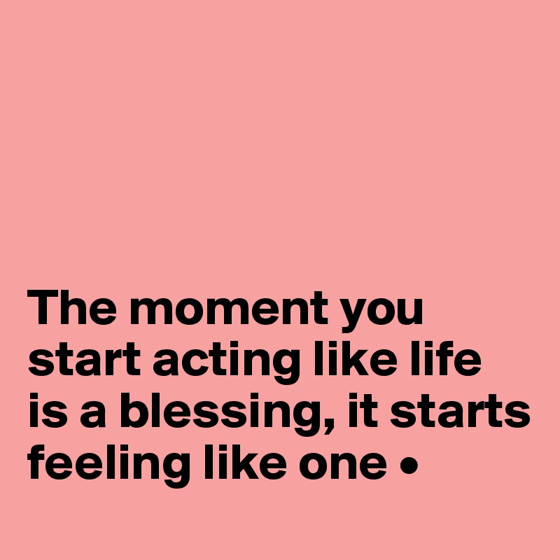 




The moment you start acting like life is a blessing, it starts feeling like one • 