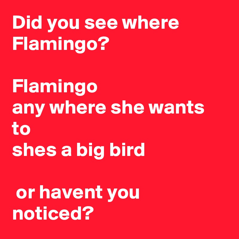 Did you see where Flamingo?

Flamingo
any where she wants to 
shes a big bird

 or havent you noticed?