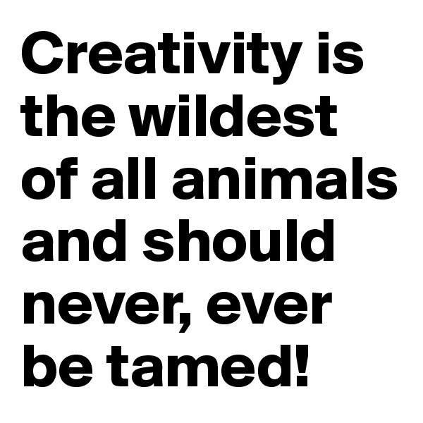 Creativity is the wildest of all animals and should never, ever be tamed!