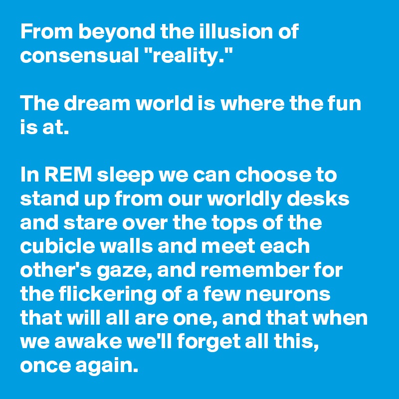 From beyond the illusion of consensual "reality."

The dream world is where the fun is at.

In REM sleep we can choose to stand up from our worldly desks and stare over the tops of the cubicle walls and meet each other's gaze, and remember for the flickering of a few neurons that will all are one, and that when we awake we'll forget all this,
once again.
