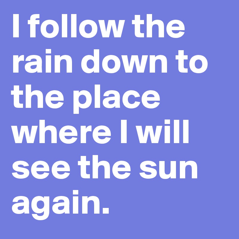 I follow the rain down to the place
where I will see the sun again. 