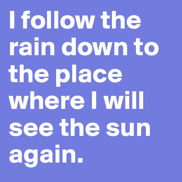 I follow the rain down to the place
where I will see the sun again. 