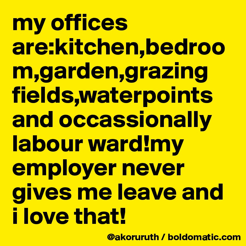 my offices are:kitchen,bedroom,garden,grazing fields,waterpoints and occassionally labour ward!my employer never gives me leave and i love that!