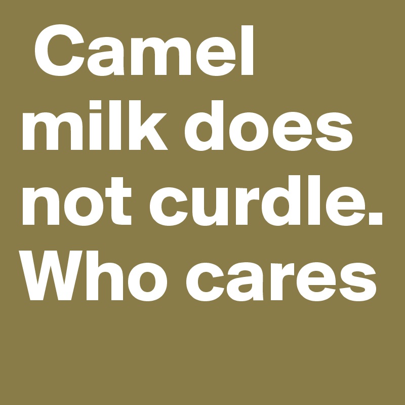 Camels milk doesn t curdle