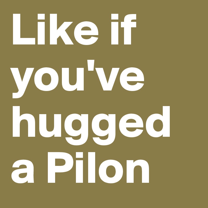 Like if you've hugged a Pilon