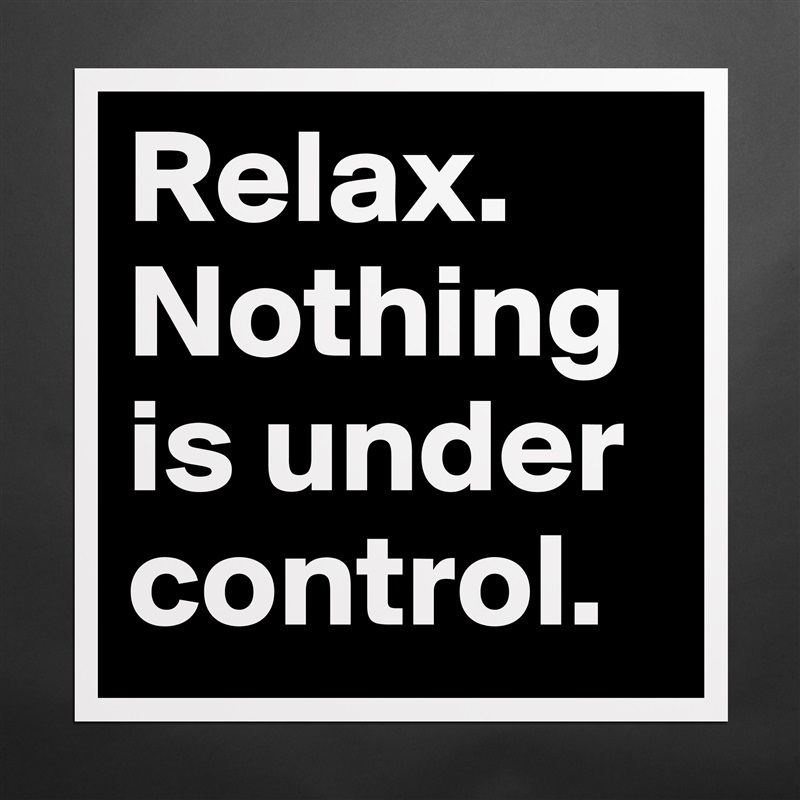 Relax. Nothing is under control. Matte White Poster Print Statement Custom 