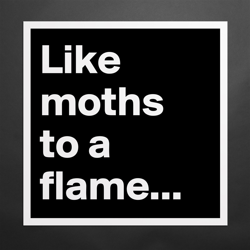 Like moths to a flame... Matte White Poster Print Statement Custom 