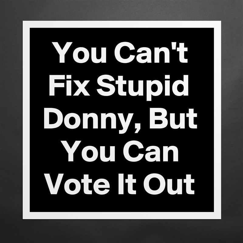 You Can't Fix Stupid Donny, But You Can Vote It Out Matte White Poster Print Statement Custom 