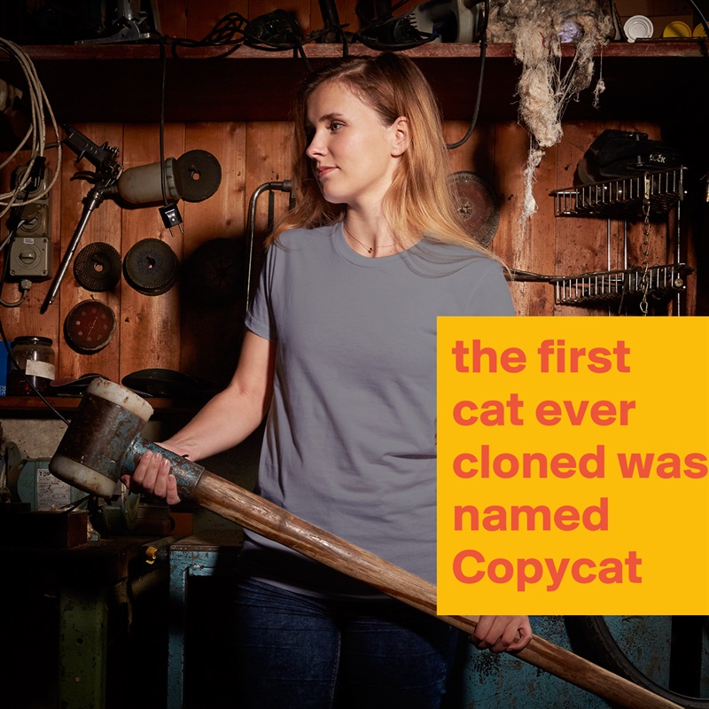 the first cat ever cloned was named Copycat White American Apparel Short Sleeve Tshirt Custom 