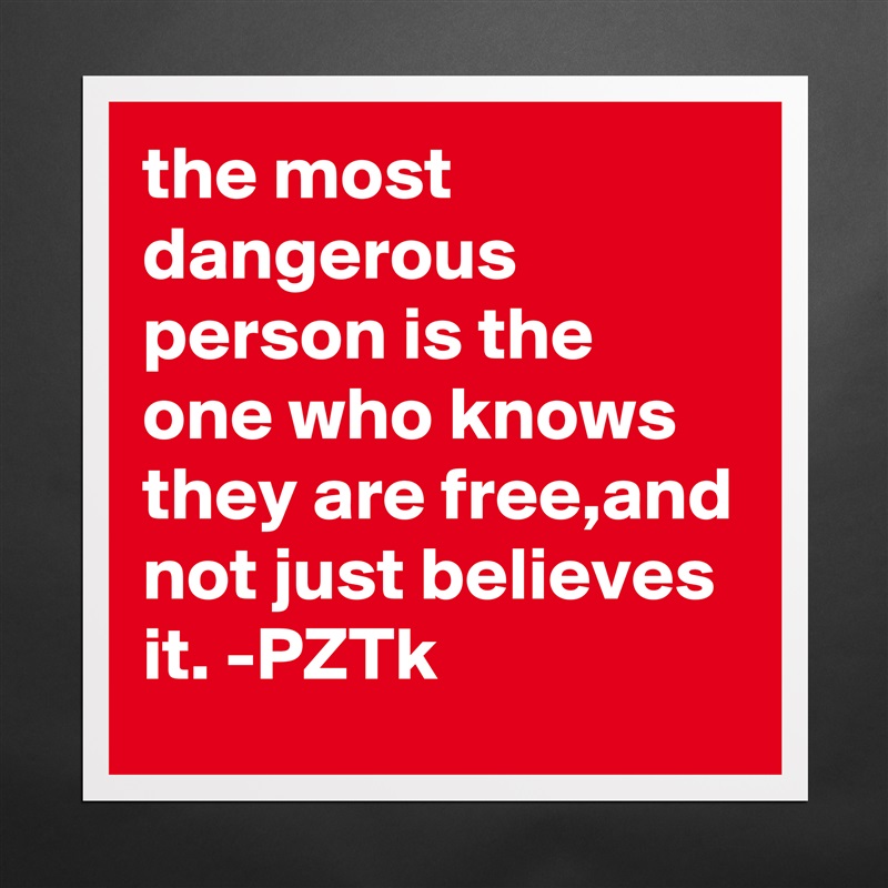 the most dangerous person is the one who knows they are free,and not just believes it. -PZTk Matte White Poster Print Statement Custom 