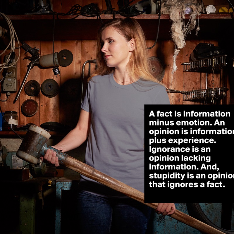 A fact is information minus emotion. An opinion is information plus experience. Ignorance is an opinion lacking information. And, stupidity is an opinion that ignores a fact. White American Apparel Short Sleeve Tshirt Custom 