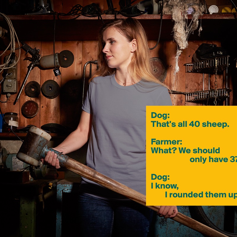 Dog:
That's all 40 sheep.

Farmer:
What? We should
                      only have 37.

Dog:
I know, 
        I rounded them up. White American Apparel Short Sleeve Tshirt Custom 