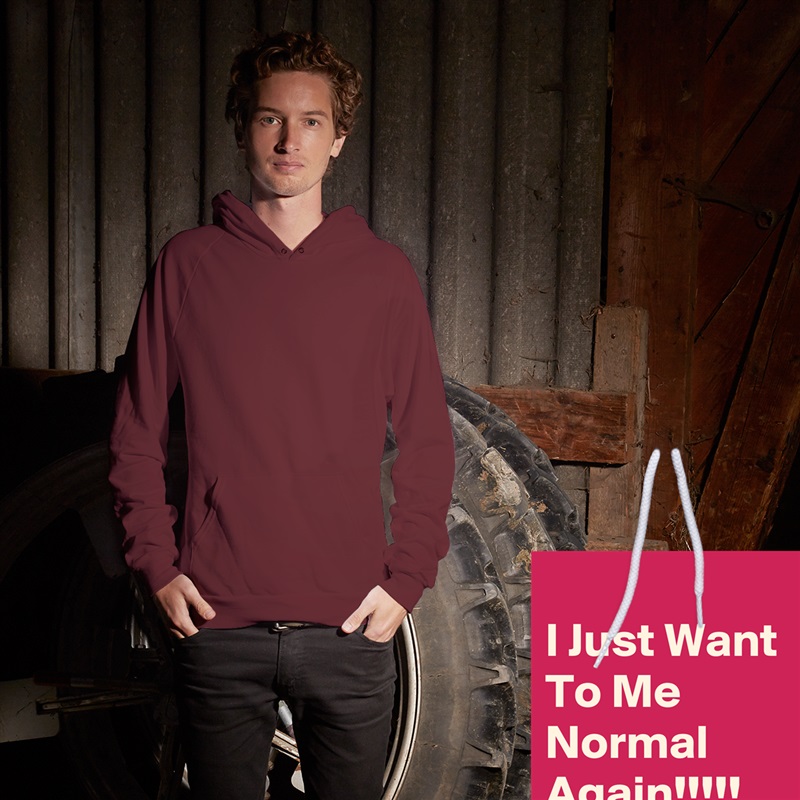 
I Just Want To Me Normal Again!!!!! White American Apparel Unisex Pullover Hoodie Custom  