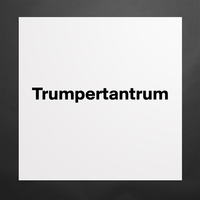 


Trumpertantrum


 Matte White Poster Print Statement Custom 